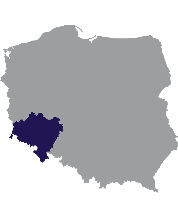 Landkaart Polen grijs met Woiwodschap Neder-Silezië donkerblauw op transparante achtergrond - 600 * 733 pixels